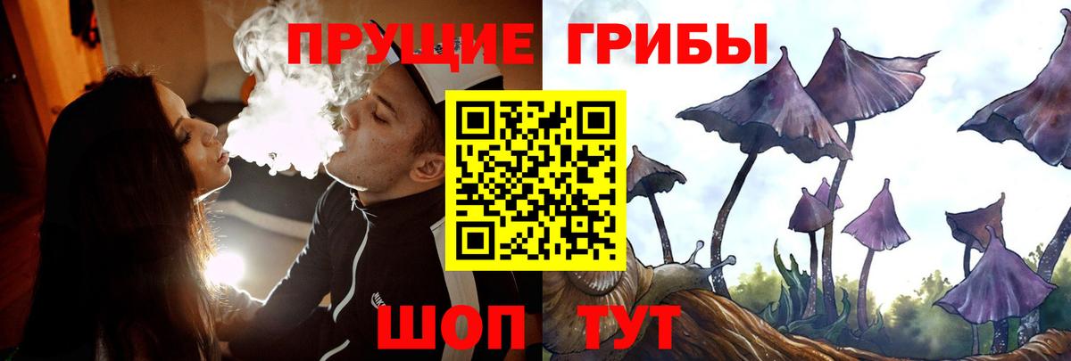 Киселёвск  продажа наркотиков  Вход с VPN  Галлюциногенные грибы мицелий  Галлюциногенные грибы мухоморы 